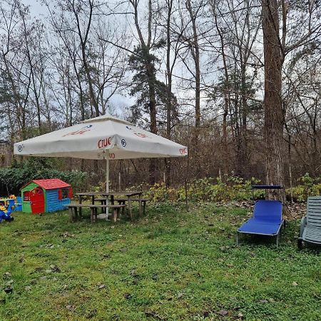Pensiunea Carpe Diem Râmnicu Vâlcea エクステリア 写真