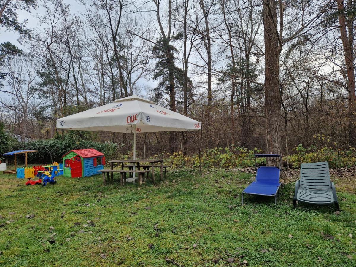 Pensiunea Carpe Diem Râmnicu Vâlcea エクステリア 写真