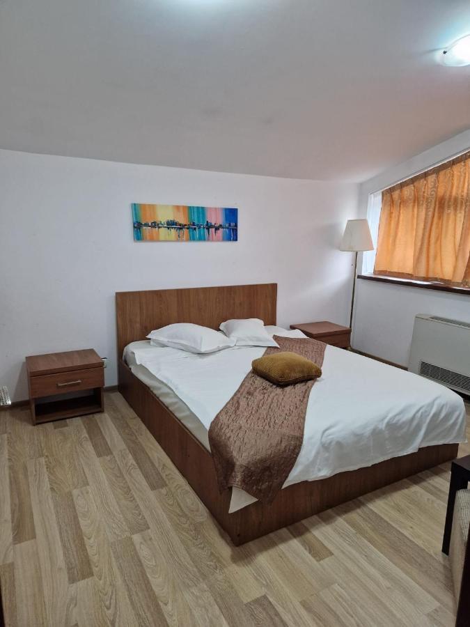 Pensiunea Carpe Diem Râmnicu Vâlcea エクステリア 写真